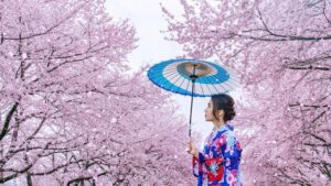 Wie heißt das japanische Kirschblütenfest? Alles über das berühmte Kirschblütenfest in Japan