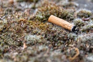 Wie Viele Stangen Von Tschechien Nach Deutschland? Aktuelle Zoll- und Einfuhrbestimmungen für Zigaretten