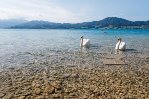Wie Groß Ist Der Gardasee? Fläche, Länge und Breite des Gardasees