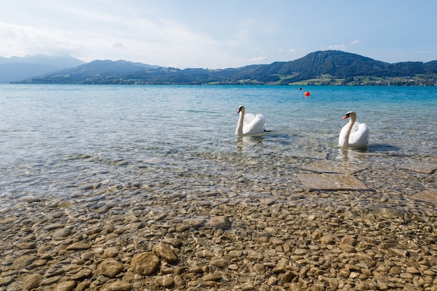 Wie Groß Ist Der Gardasee? Fläche, Länge und Breite des Gardasees